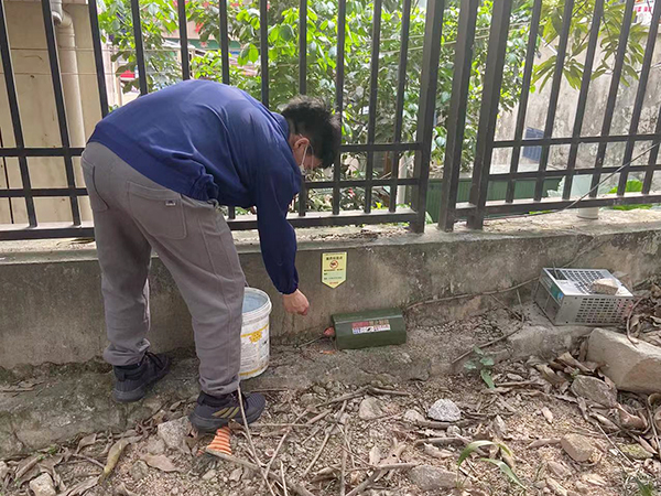 灭老鼠